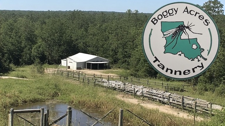 Louisiana Mosquito Ranch Forced To Close