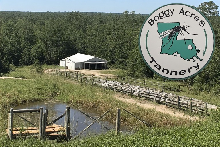 Louisiana Mosquito Ranch Forced to Close