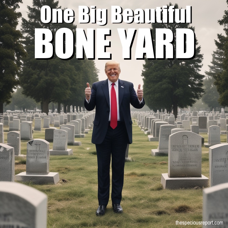 Big Beautiful Bill Meme
