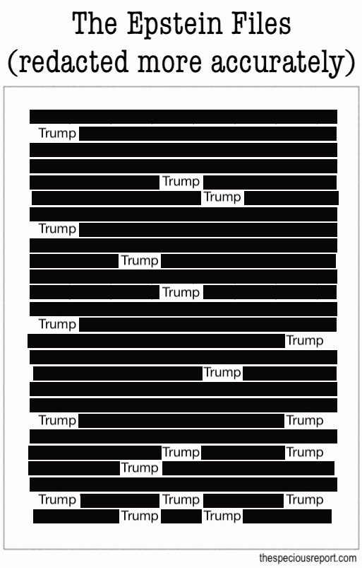 Epsteih Files Redacted Meme