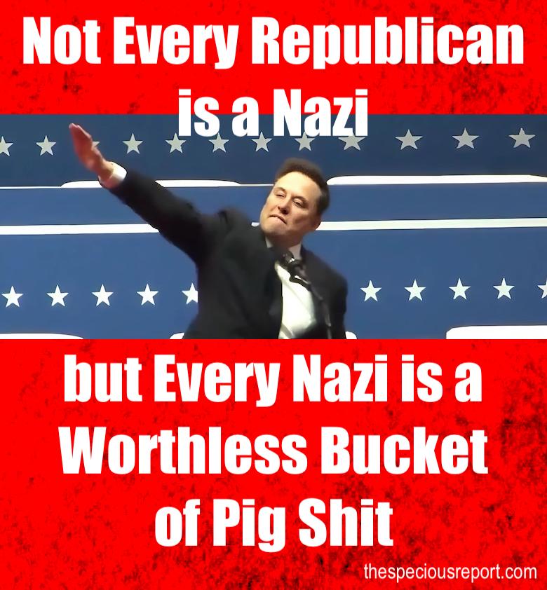 Elon Nazi Meme