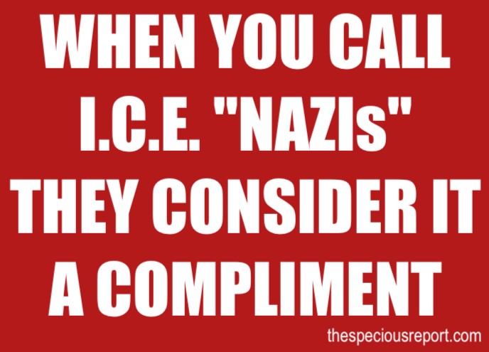 ICE Nazi Meme