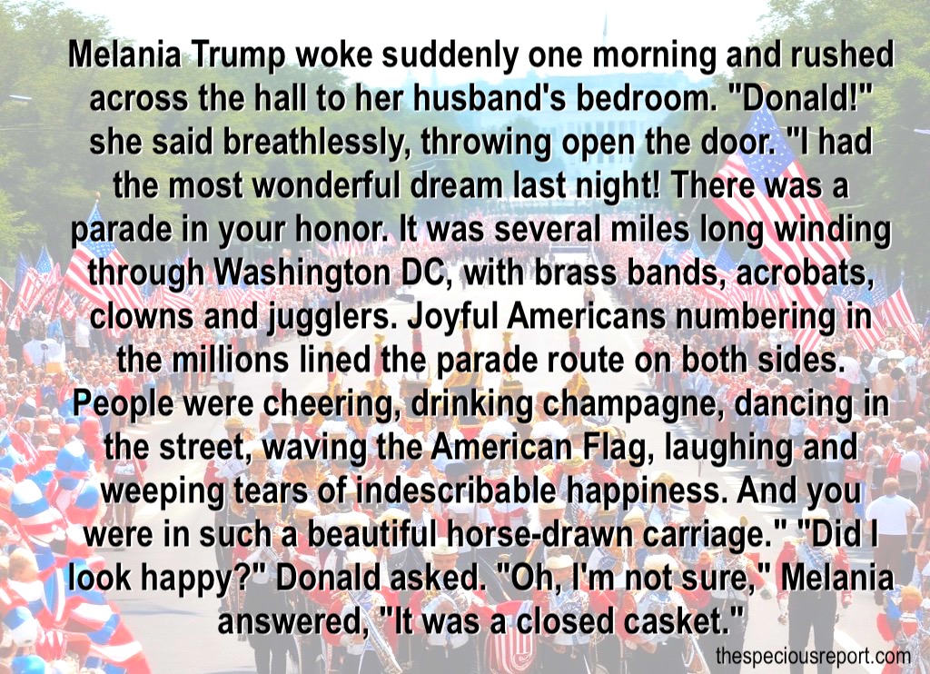 Melania's Dream Meme