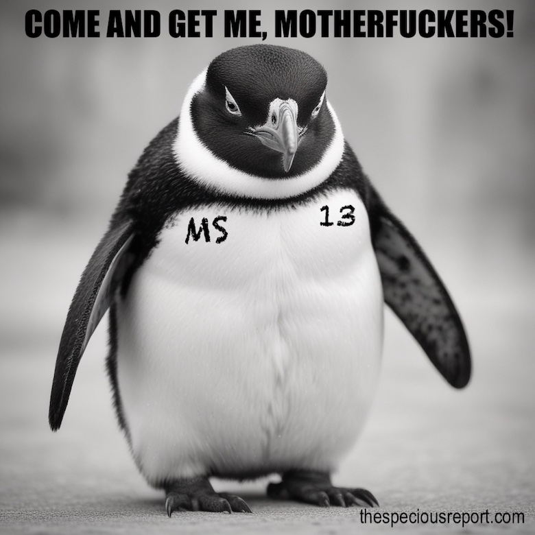 MS13 Penguin Meme