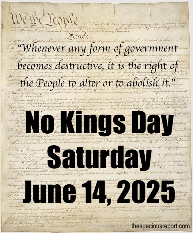 No Kings Day Meme