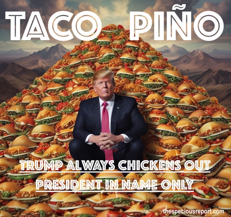 TACO Trump Meme