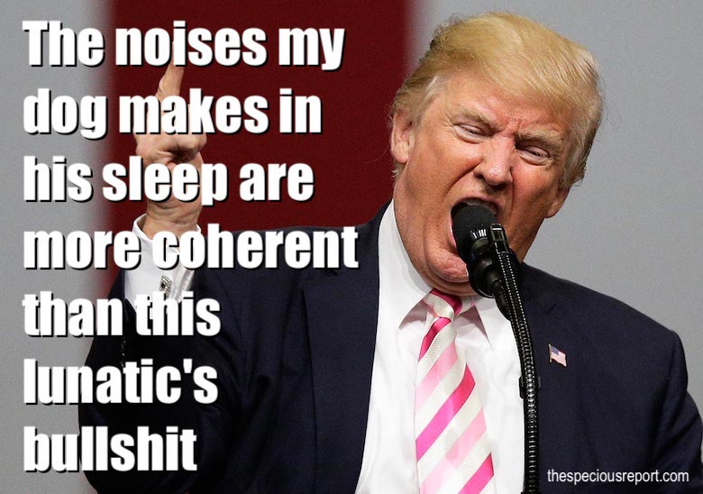 Trump Noises Meme