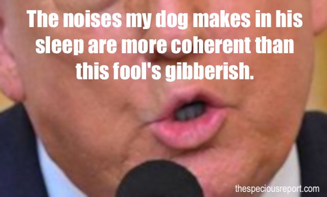Trump Gibberish
